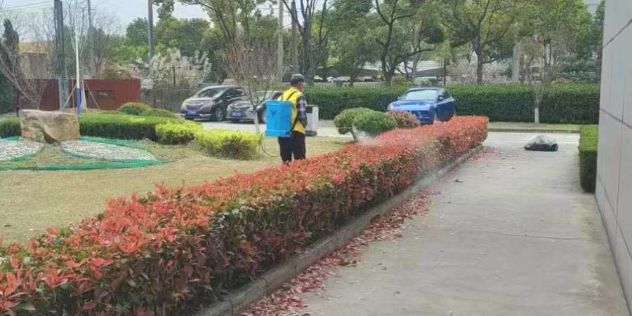 物业/开发商绿地养护(图2)
